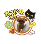 ティーカッププードルのミリちゃん！（個別スタンプ：2）