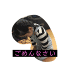 サラたんの日常②（個別スタンプ：10）