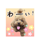 なっちゃんのだよU´•ﻌ•`U（個別スタンプ：1）
