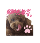 なっちゃんのだよU´•ﻌ•`U（個別スタンプ：2）