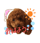 なっちゃんのだよU´•ﻌ•`U（個別スタンプ：3）