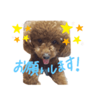なっちゃんのだよU´•ﻌ•`U（個別スタンプ：6）