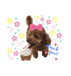 なっちゃんのだよU´•ﻌ•`U（個別スタンプ：8）