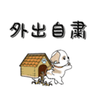 【大きな文字】シーズー犬『コロナ自粛』（個別スタンプ：6）