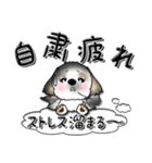 【大きな文字】シーズー犬『コロナ自粛』（個別スタンプ：8）