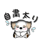 【大きな文字】シーズー犬『コロナ自粛』（個別スタンプ：11）