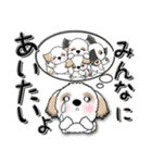 【大きな文字】シーズー犬『コロナ自粛』（個別スタンプ：26）