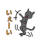 バラエティ猫詰め合わせ Vol.1（個別スタンプ：9）