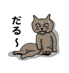 バラエティ猫詰め合わせ Vol.1（個別スタンプ：11）