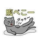 バラエティ猫詰め合わせ Vol.1（個別スタンプ：26）