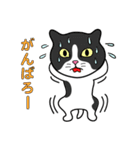 バラエティ猫詰め合わせ Vol.1（個別スタンプ：36）