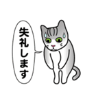 バラエティ猫詰め合わせ Vol.1（個別スタンプ：40）