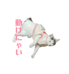 百合ちゃんスタンプ（個別スタンプ：11）