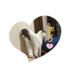 百合ちゃんスタンプ（個別スタンプ：12）