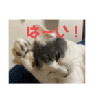 百合ちゃんスタンプ（個別スタンプ：16）