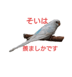 くるけらころ（個別スタンプ：5）