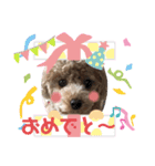 チョコちゃん～日常会話スタンプ第一弾。（個別スタンプ：10）