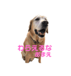 そらぽんの毎日♡（個別スタンプ：1）