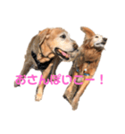 そらぽんの毎日♡（個別スタンプ：2）