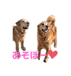 そらぽんの毎日♡（個別スタンプ：10）