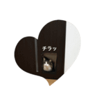 猫のイエモン（個別スタンプ：2）