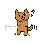 シバわん 多分よく使う（個別スタンプ：5）