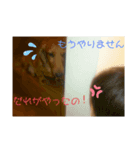 イケメンダックス(てつ君)（個別スタンプ：5）