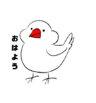 らくがき文鳥（個別スタンプ：1）