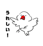 らくがき文鳥（個別スタンプ：7）
