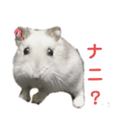 メメ君（個別スタンプ：4）
