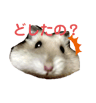 メメ君（個別スタンプ：7）