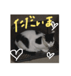 ふっちーfamily（個別スタンプ：4）