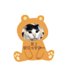 ふっちーfamily（個別スタンプ：7）