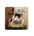 ふっちーfamily（個別スタンプ：9）