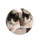 ふっちーfamily（個別スタンプ：17）