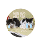 ふっちーfamily（個別スタンプ：23）