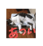 ふっちーfamily（個別スタンプ：32）