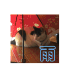 ふっちーfamily（個別スタンプ：36）