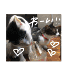 ふっちーfamily（個別スタンプ：39）