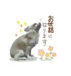 ガウガウ犬くうの日常で使えるスタンプ（個別スタンプ：14）