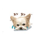 ガウガウ犬くうの日常で使えるスタンプ（個別スタンプ：18）