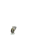 ガウガウ犬くうの日常で使えるスタンプ（個別スタンプ：22）