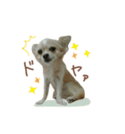ガウガウ犬くうの日常で使えるスタンプ（個別スタンプ：23）