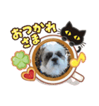 ティートゥとデロゥ、タヴの日常会話（個別スタンプ：18）
