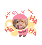 ぼく ここです（個別スタンプ：4）