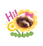 ぼく ここです（個別スタンプ：7）