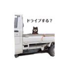 黒柴犬ろくすけのスタンプ（個別スタンプ：15）