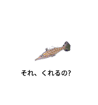 僕の海水魚ーズ2（個別スタンプ：8）