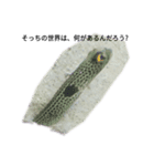 僕の海水魚ーズ2（個別スタンプ：10）