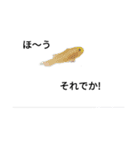 僕の海水魚ーズ2（個別スタンプ：11）